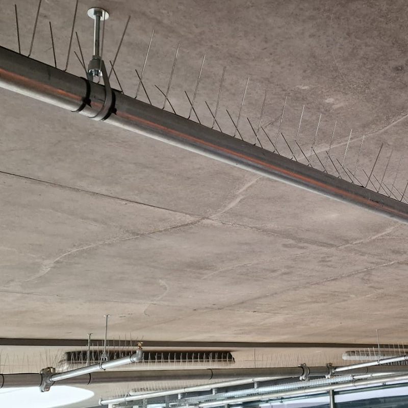 Rohre einer Sprinkleranlage mit Taubenabwehrspikes