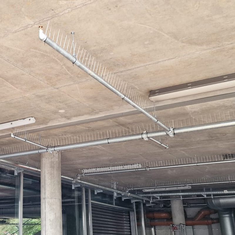 Rohre einer Sprinkleranlage mit Taubenabwehrspikes