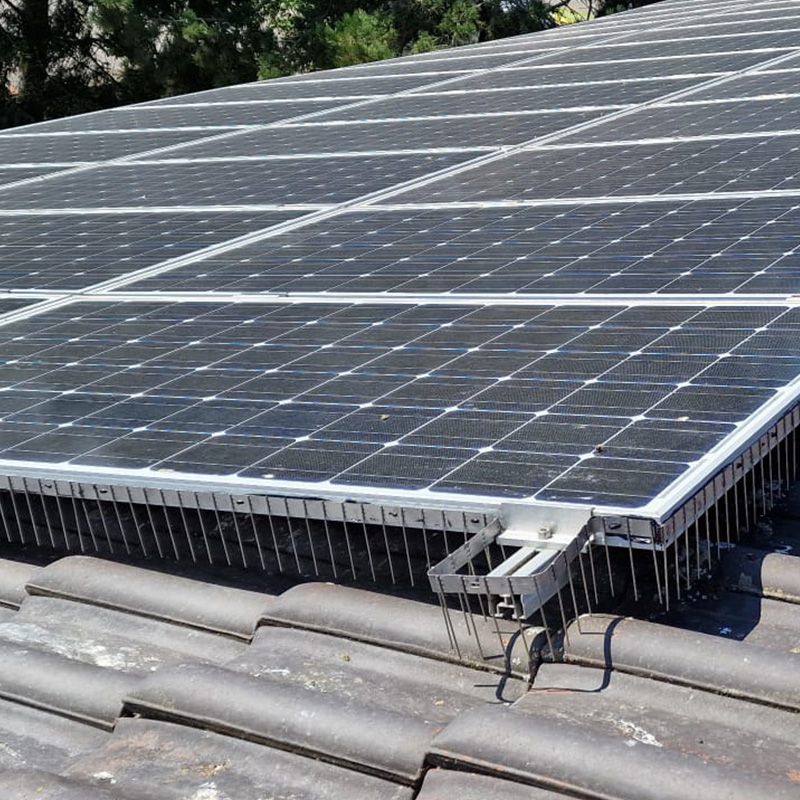 Solaranlage mit Taubenabwehrsystem