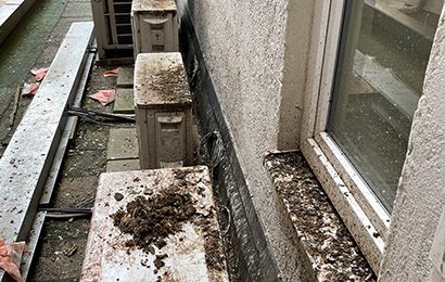 Vorher / Nachher-Aufnahme von Taubenkot beschmutzen bzw. gereinigten Lüftungsanlagen und Fenstersimsen